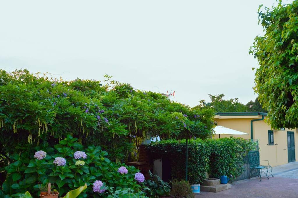 A Tintureira Villa Sao Martinho de Antas Exterior photo