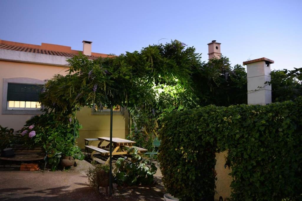 A Tintureira Villa Sao Martinho de Antas Exterior photo